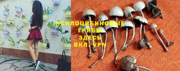 ALPHA-PVP Алексеевка
