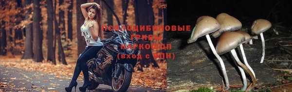 трава Алексин
