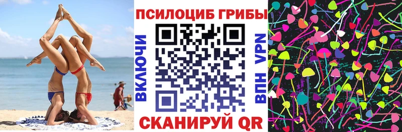 Псилоцибиновые грибы Psilocybine cubensis  наркота  Далматово 